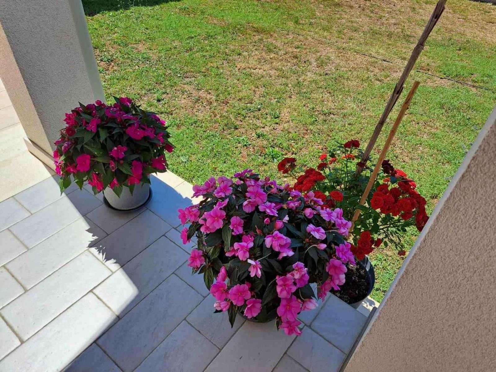 Apartmani Danica Vodnjan Ngoại thất bức ảnh